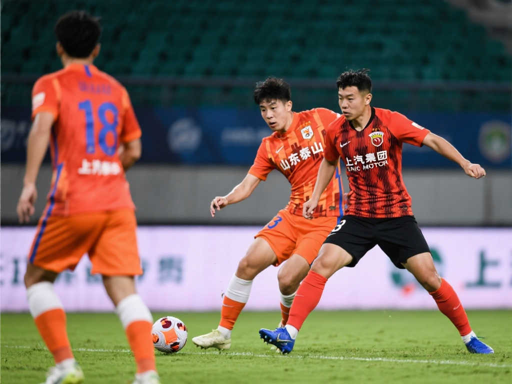 在辉煌的足 在辉煌的足